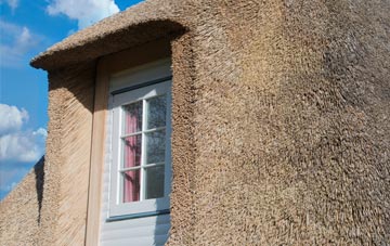 Batchcott thatch roof disadvantages